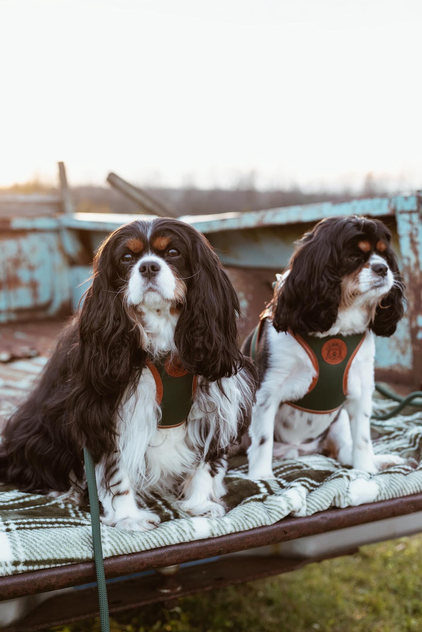 The Classic Harness - Emerald