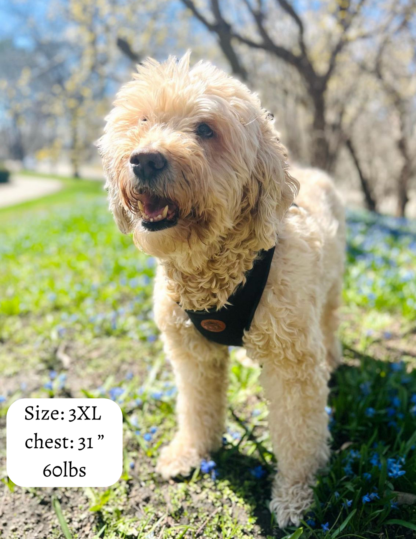 The Classic Harness - Licorice