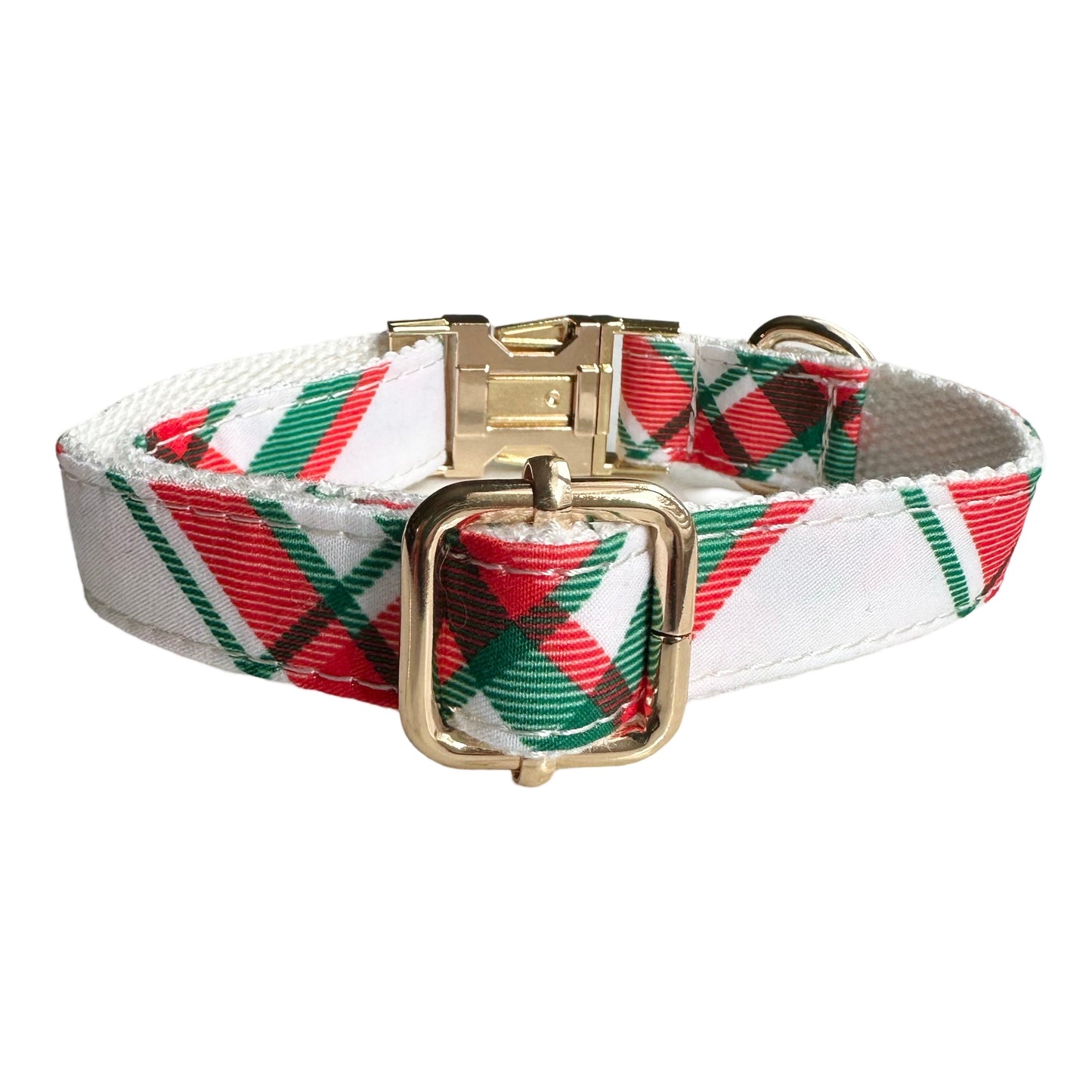 The Doggie Collar - Roma