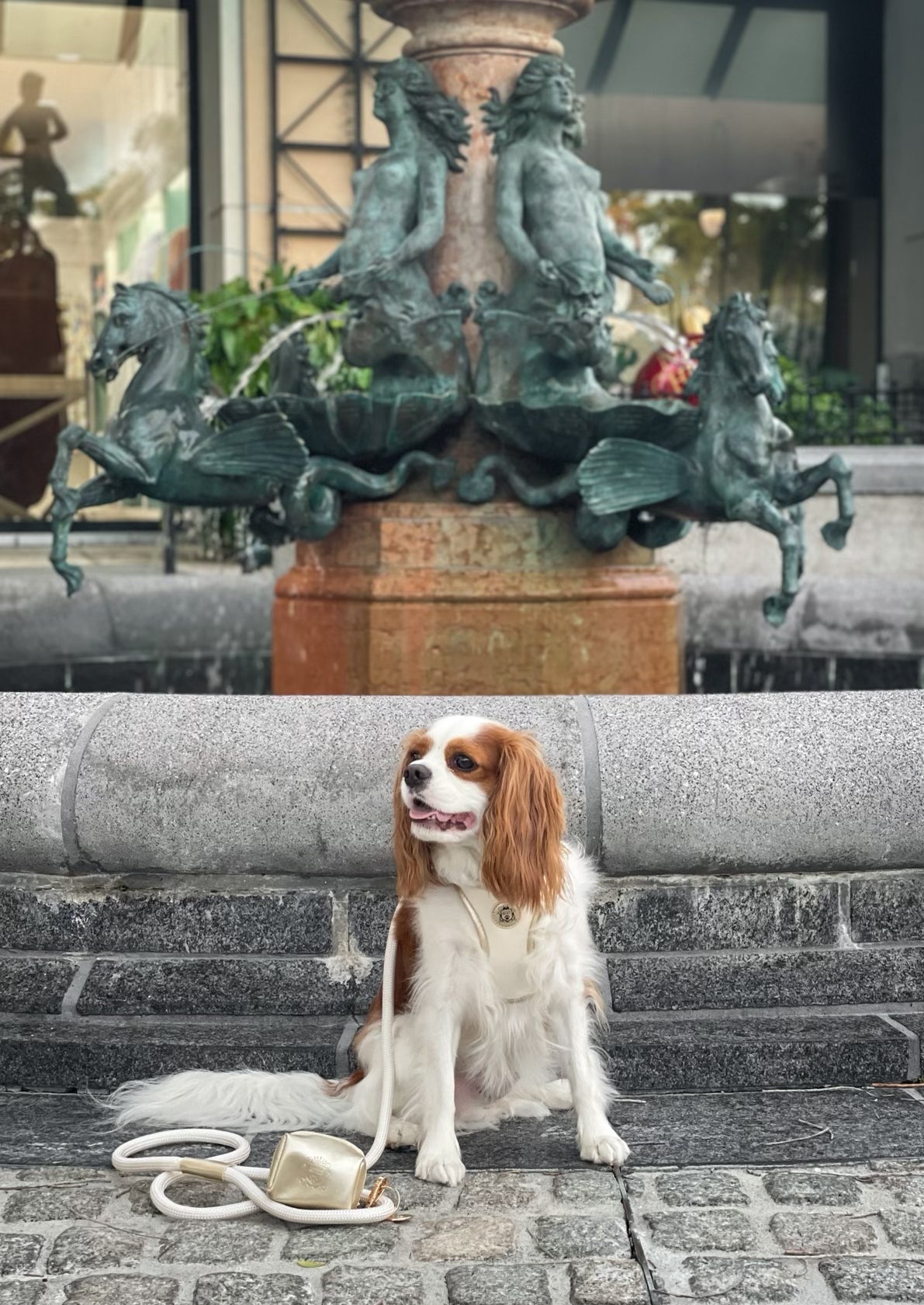 The Classic Leash - Champagne