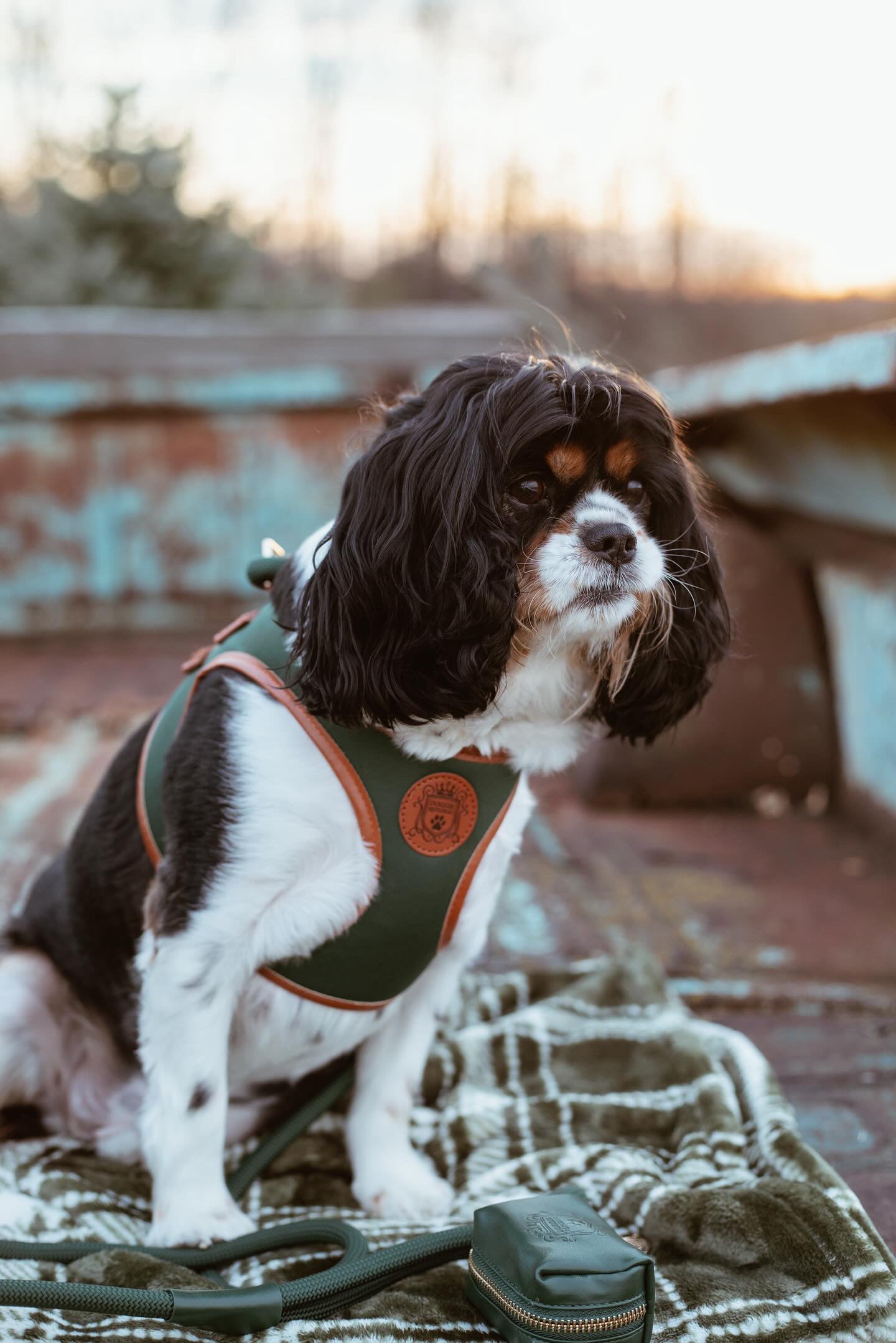 The Classic Harness - Emerald