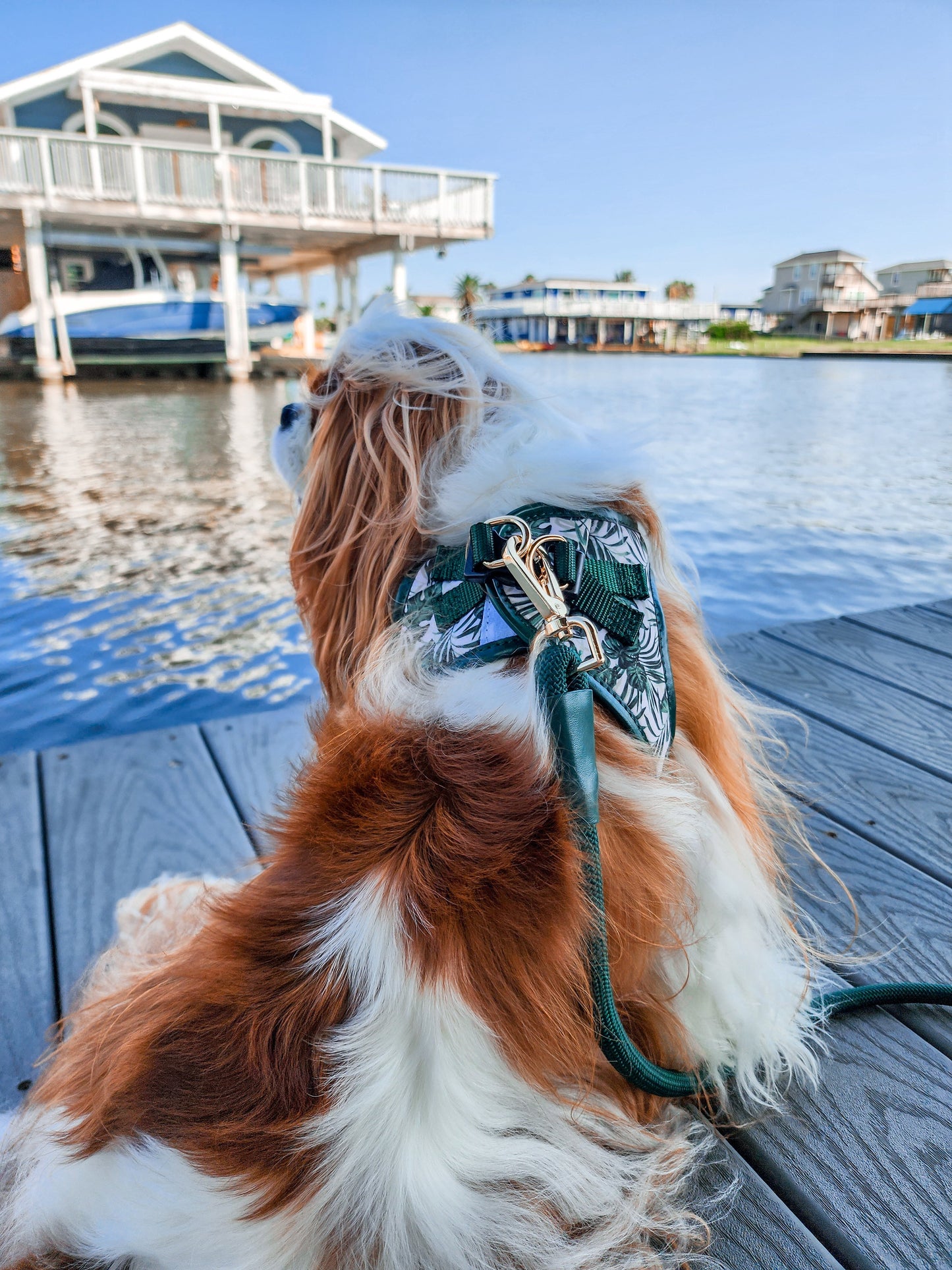 The Classic Harness - Palma