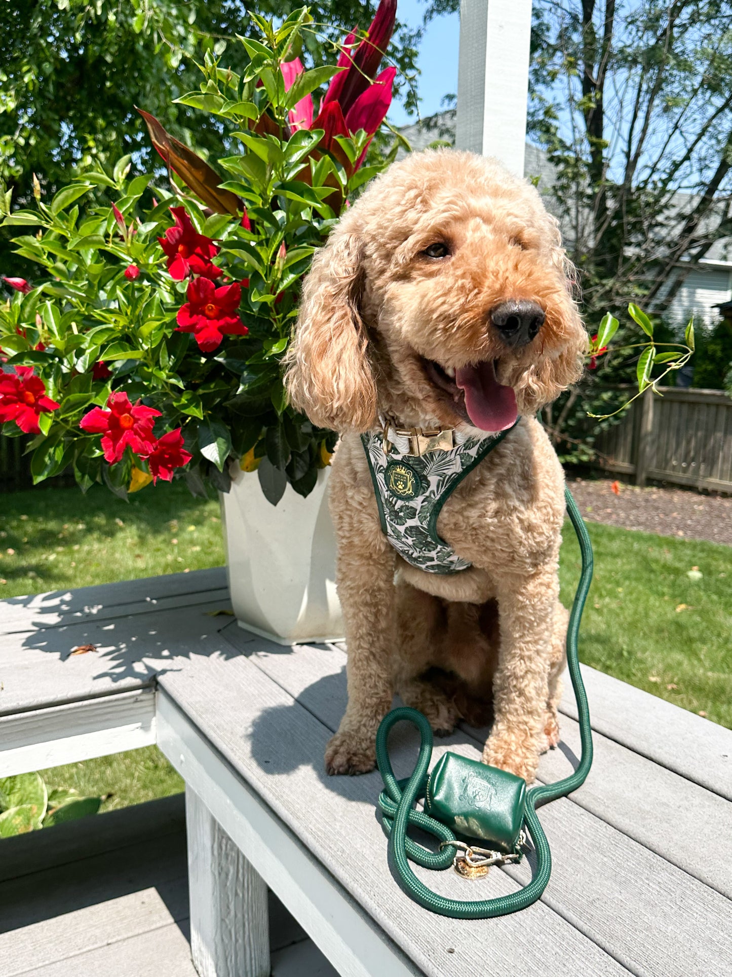 The Classic Leash - Evergreen