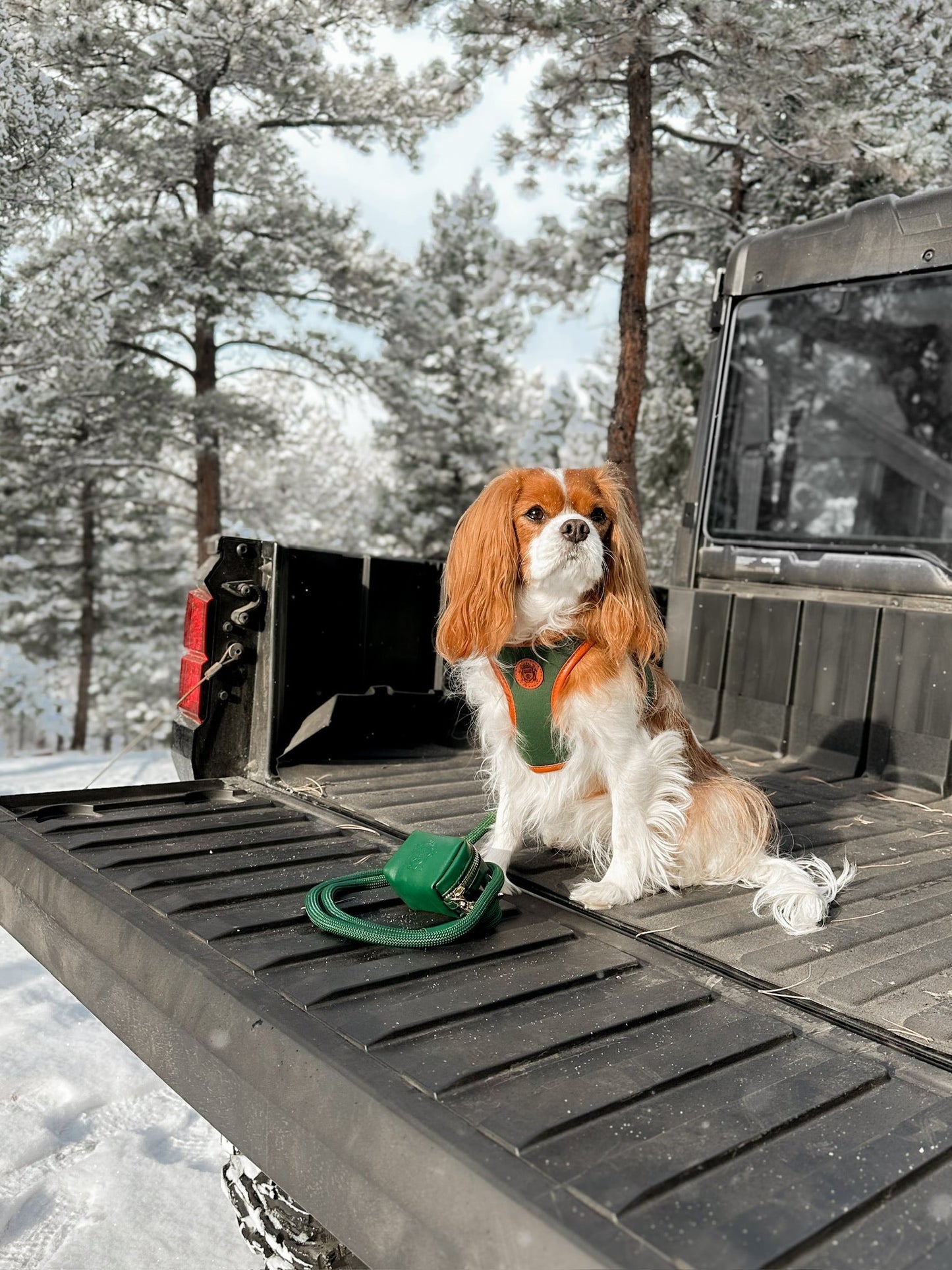 The Classic Harness - Emerald