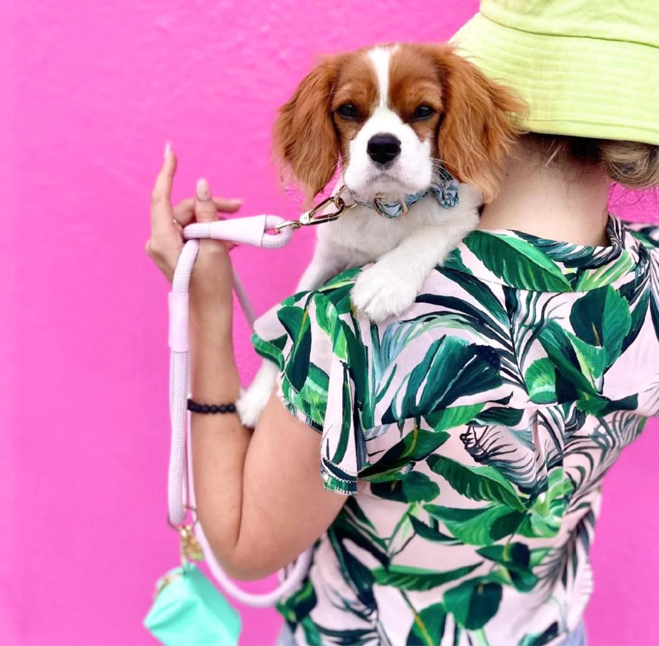 The Classic Leash - Bubble Gum