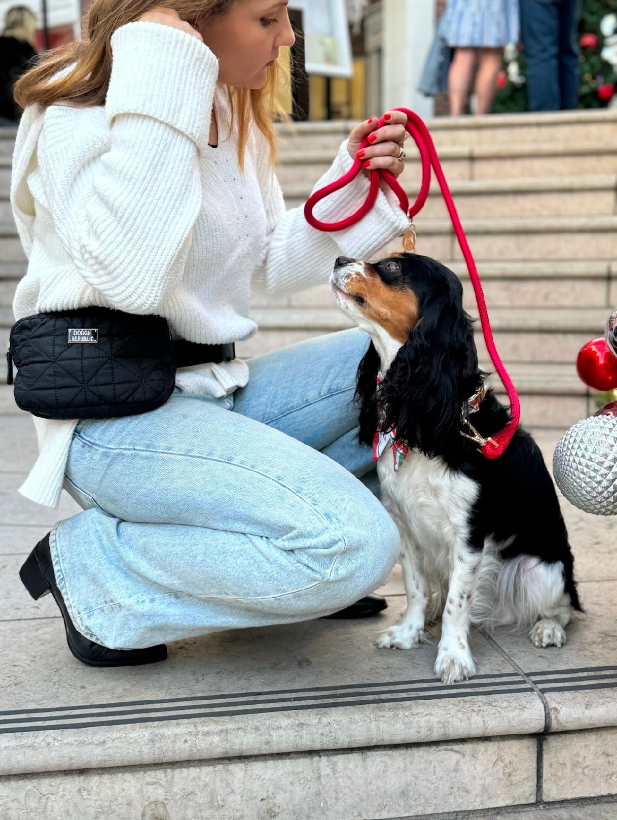 The Doggie Pack