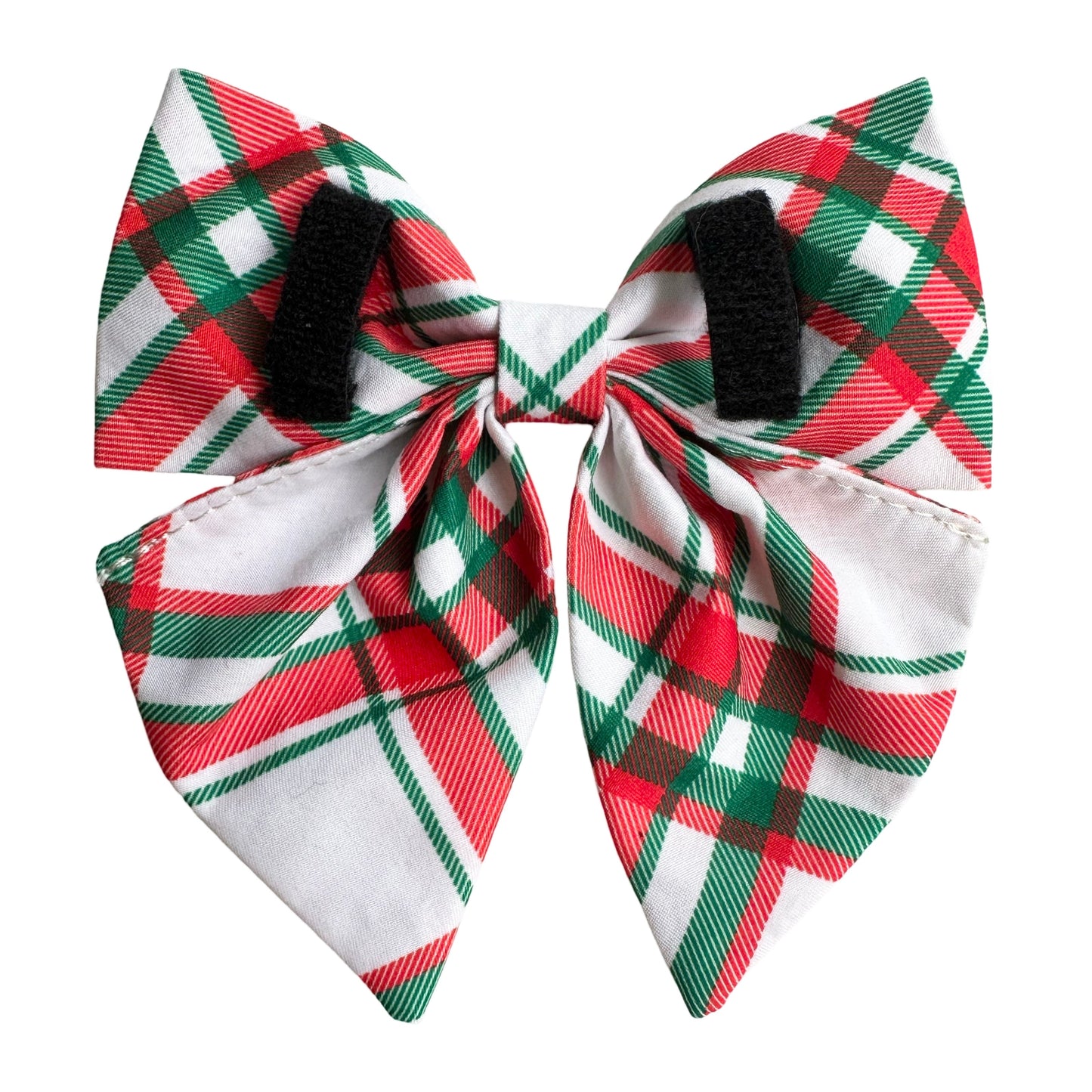 The Party Bow - Roma