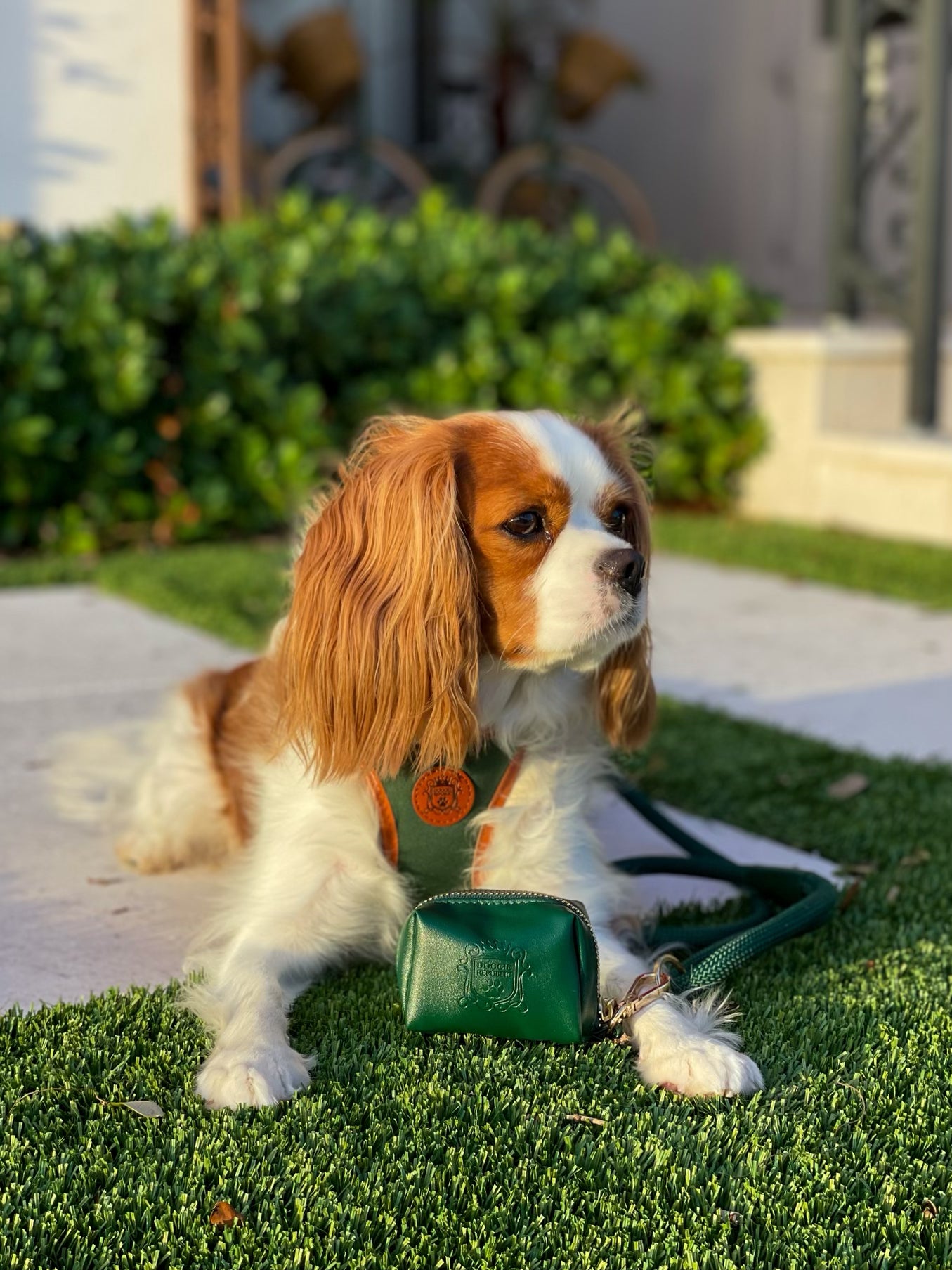 The Classic Waste Bag Holder - Evergreen