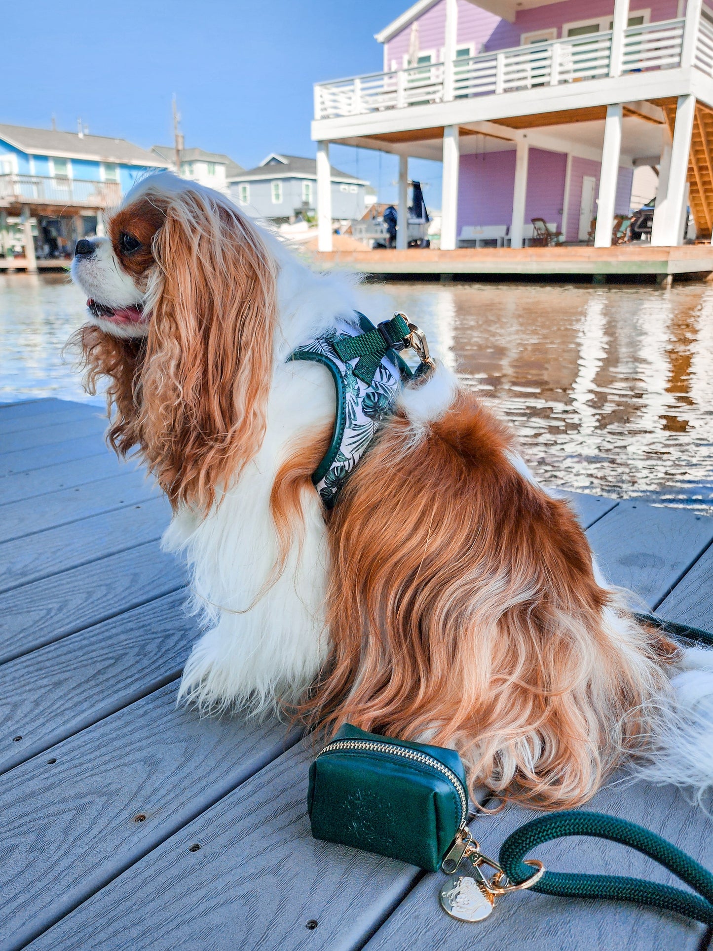 The Classic Harness - Palma