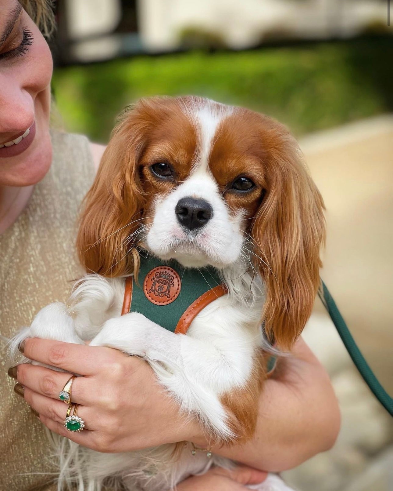 The Classic Harness - Emerald
