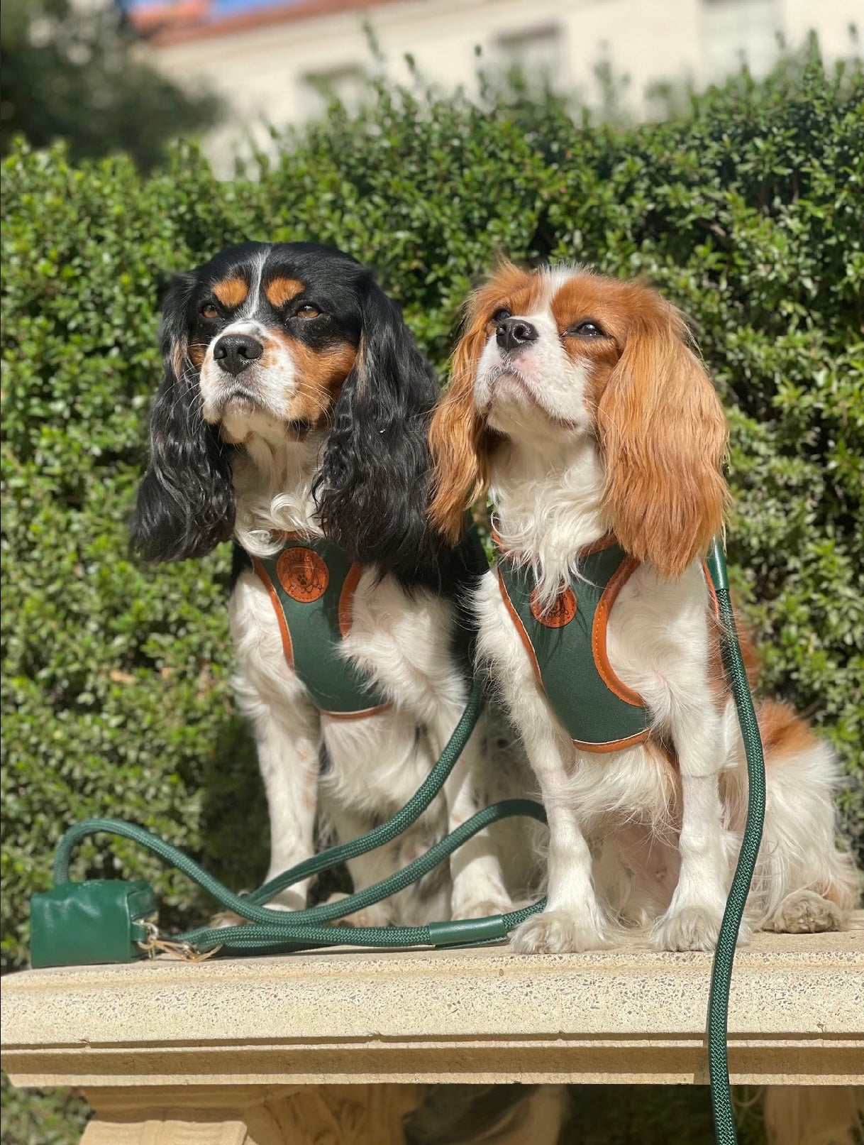 The Classic Harness - Emerald