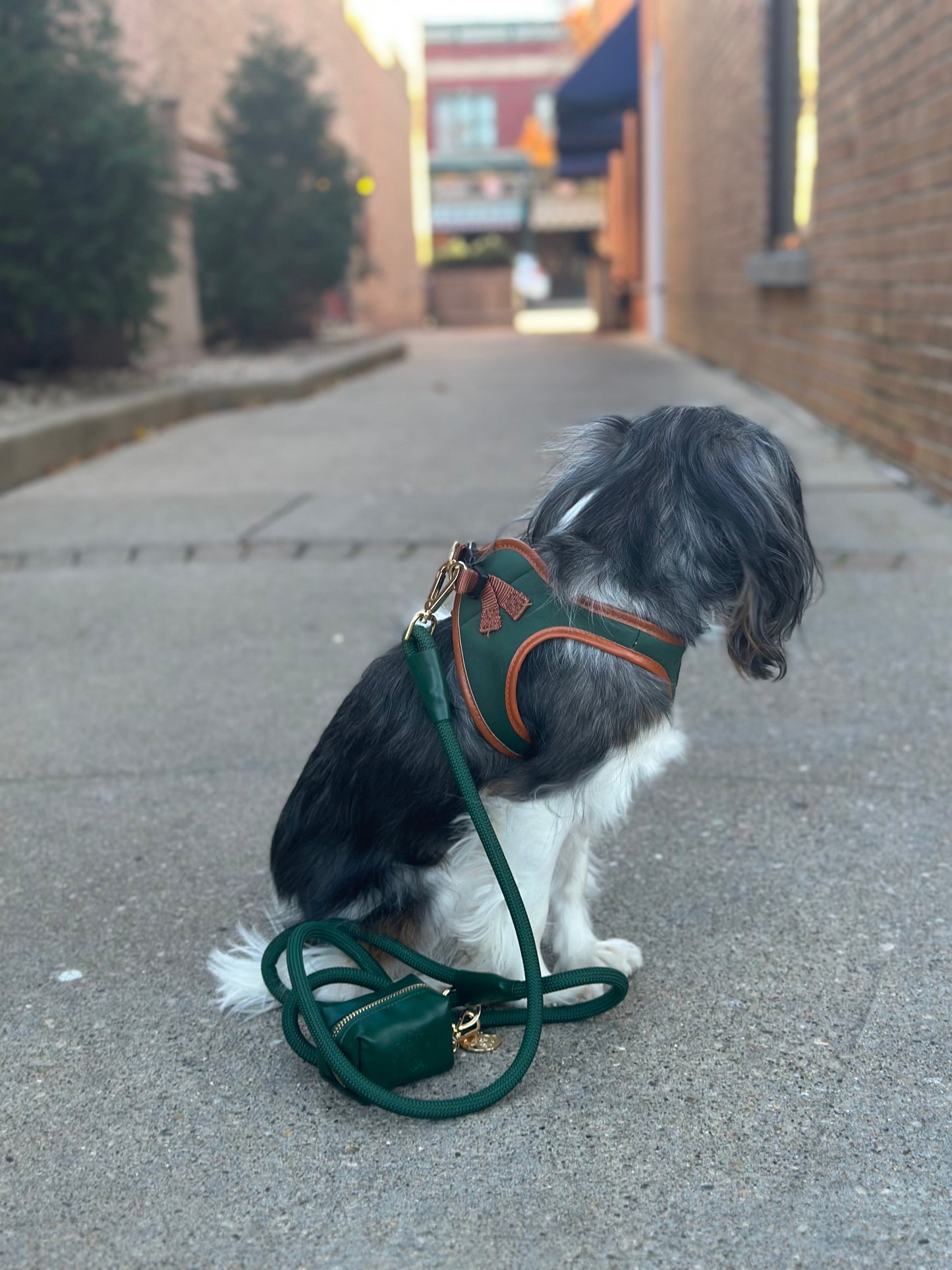 The Classic Harness - Emerald