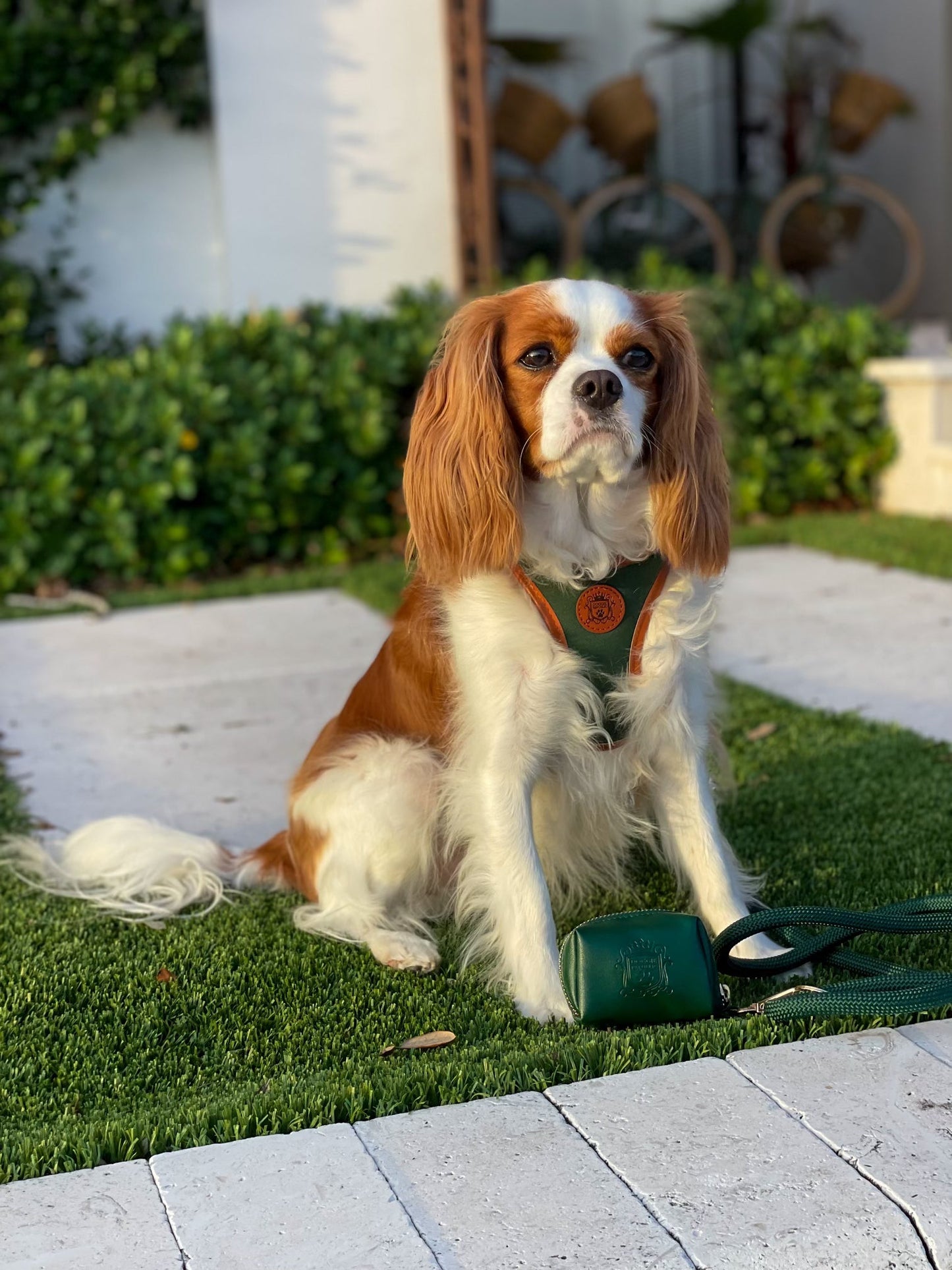 The Classic Harness - Emerald