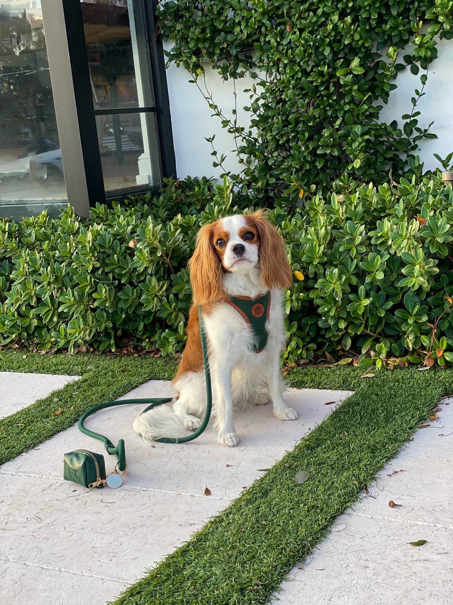 The Classic Harness - Emerald