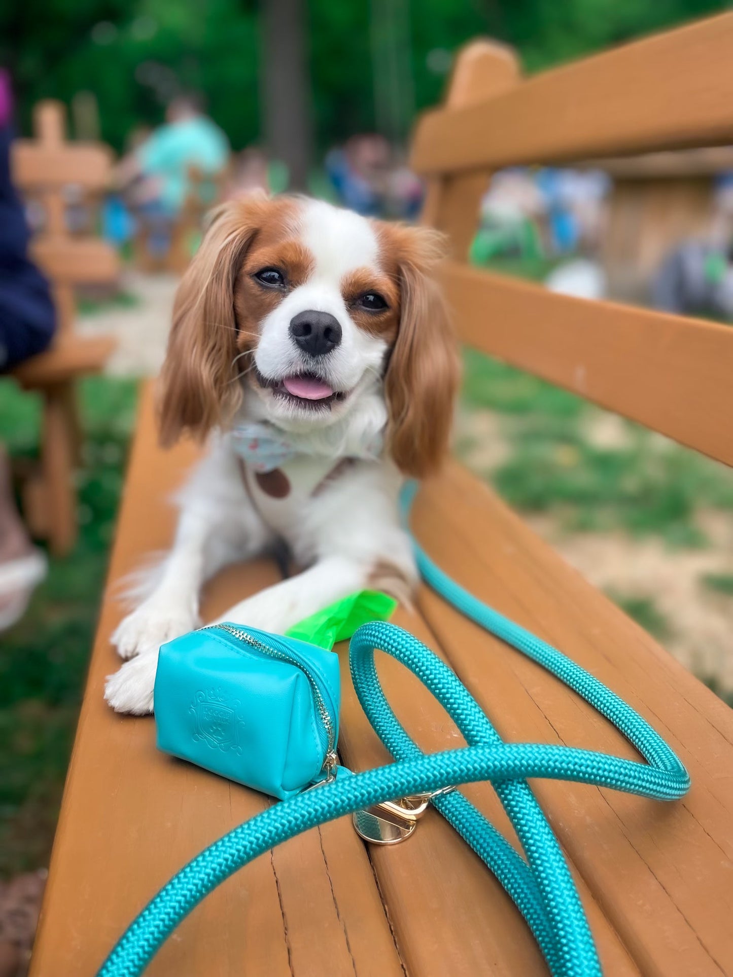 The Classic Waste Bag Holder - Caribbean Teal