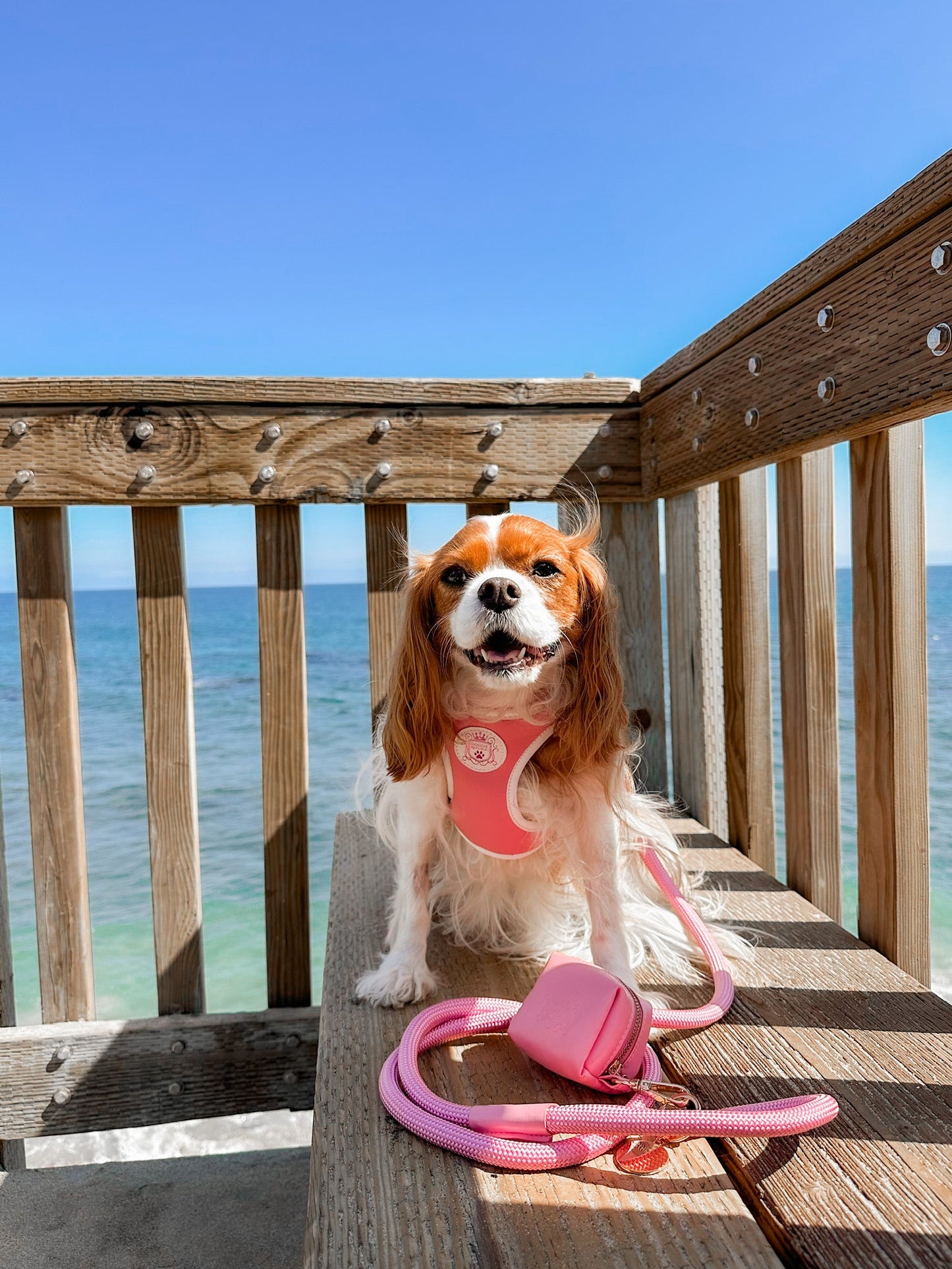 The Classic Harness - Malibu