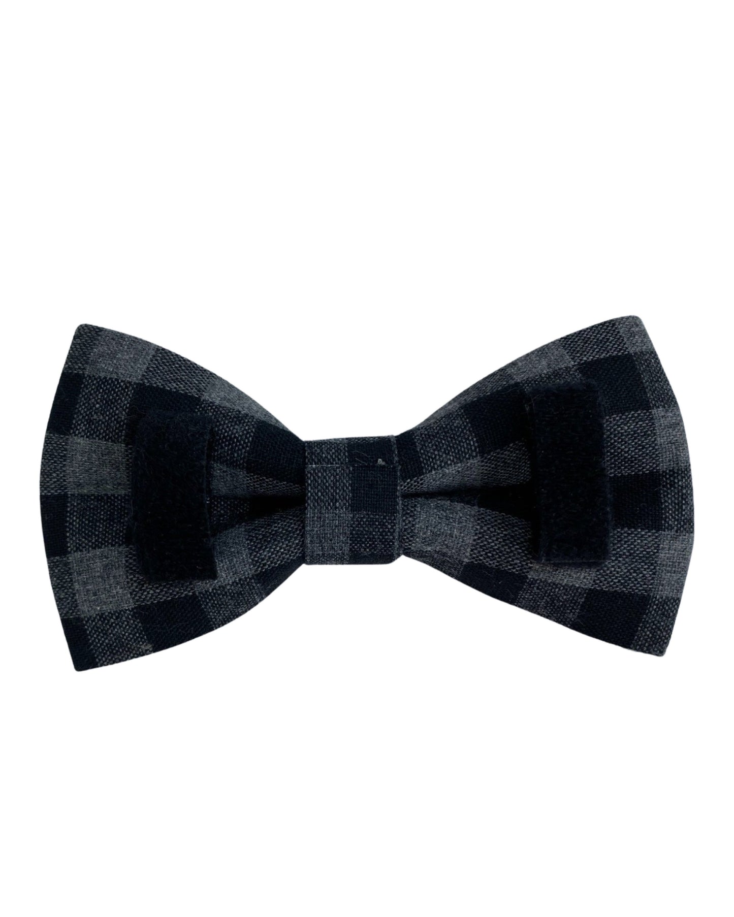 The Doggie Bow Tie - Denver