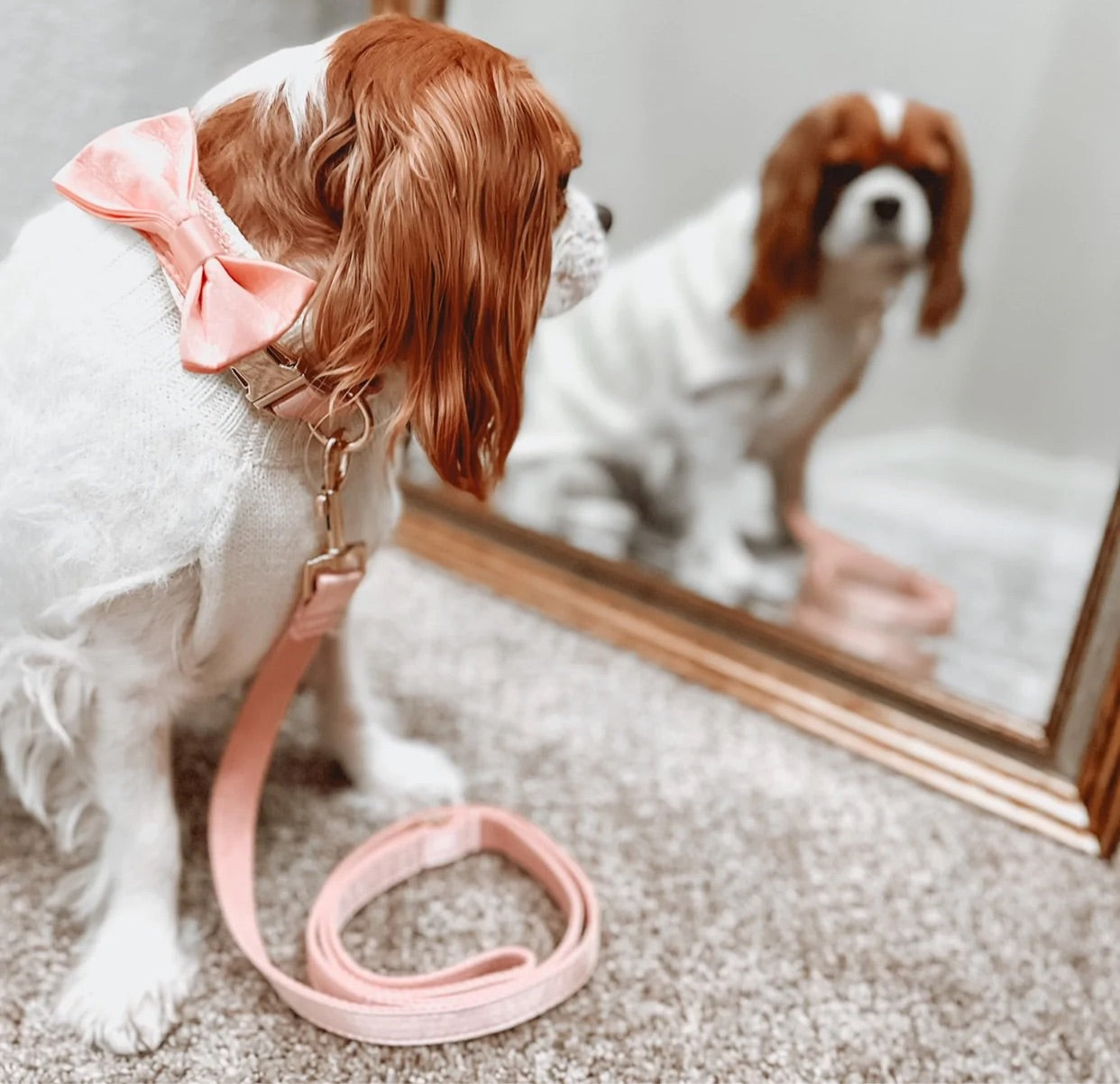 The Everyday Tuxedo Bow Tie - Ice Pink