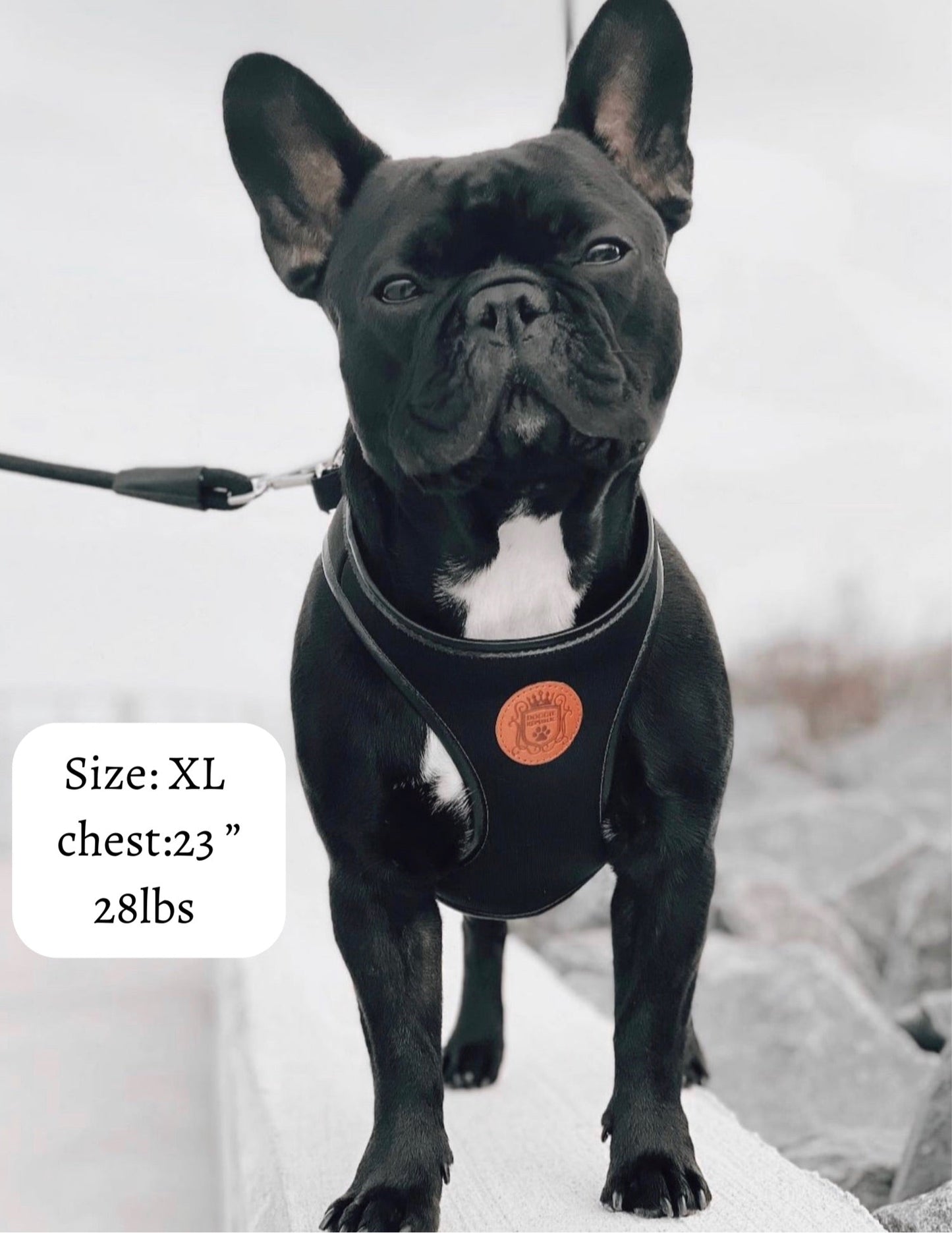 The Classic Harness - Licorice
