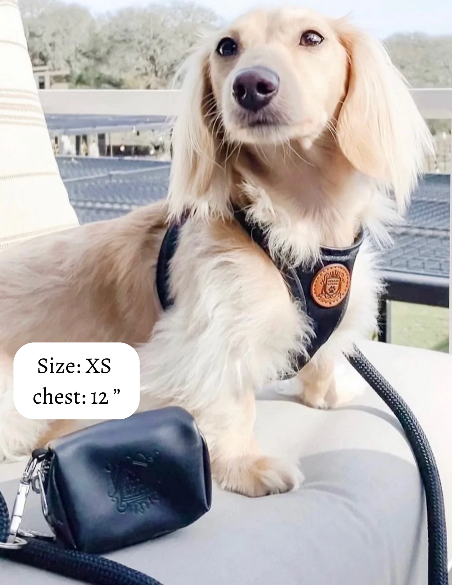 The Classic Harness - Licorice