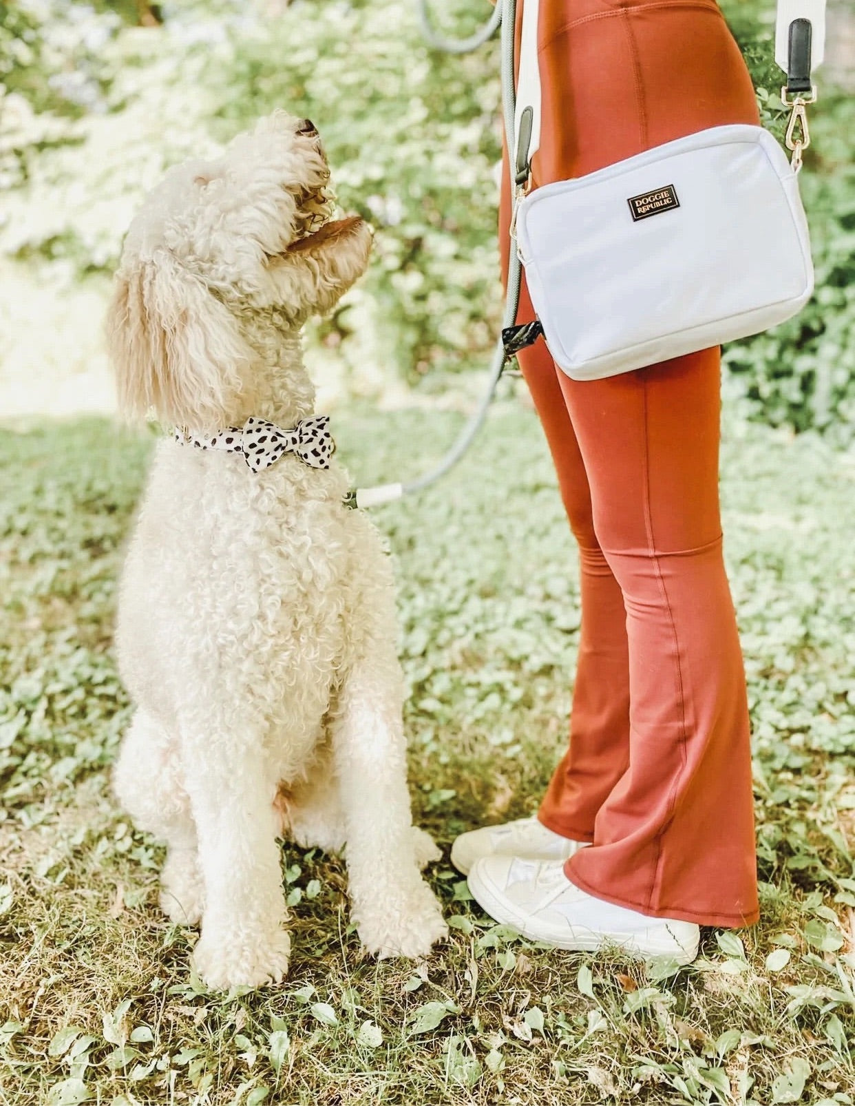 The Doggie Bag - White