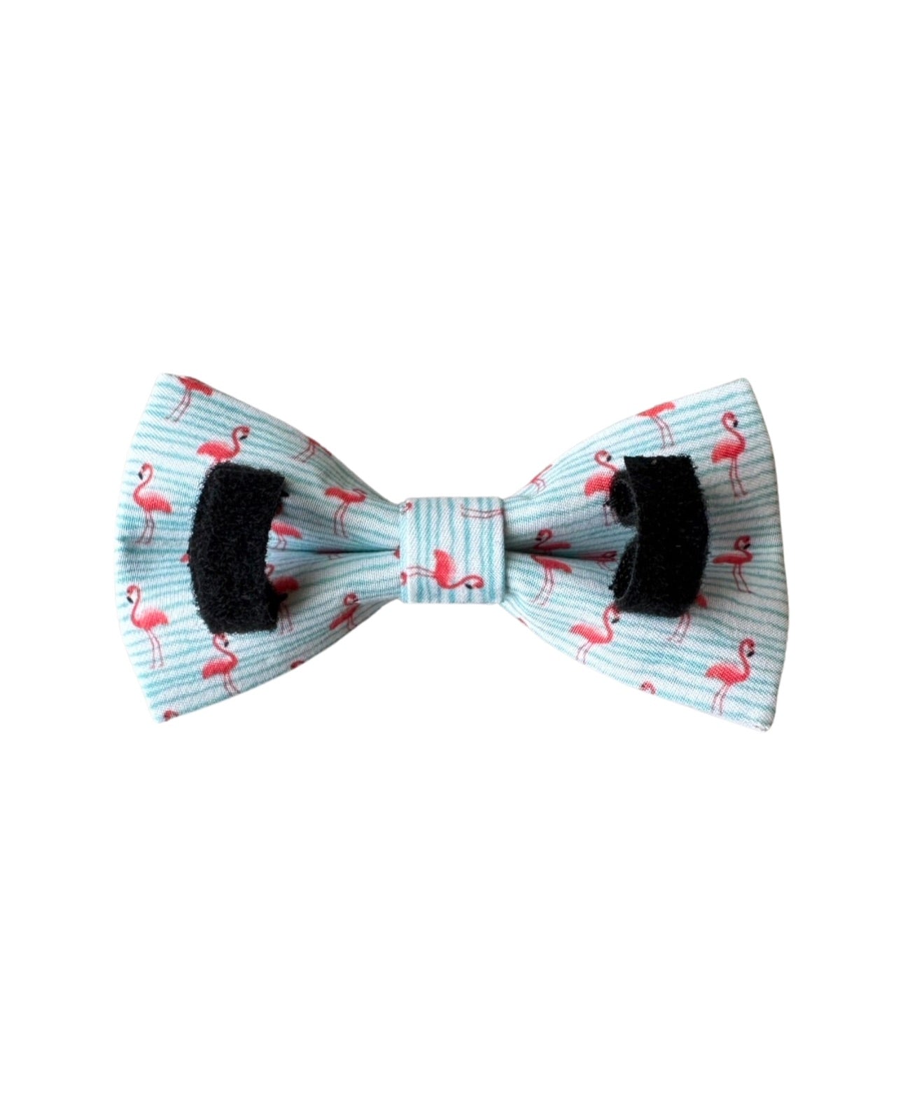 The Doggie Bow Tie - Aruba