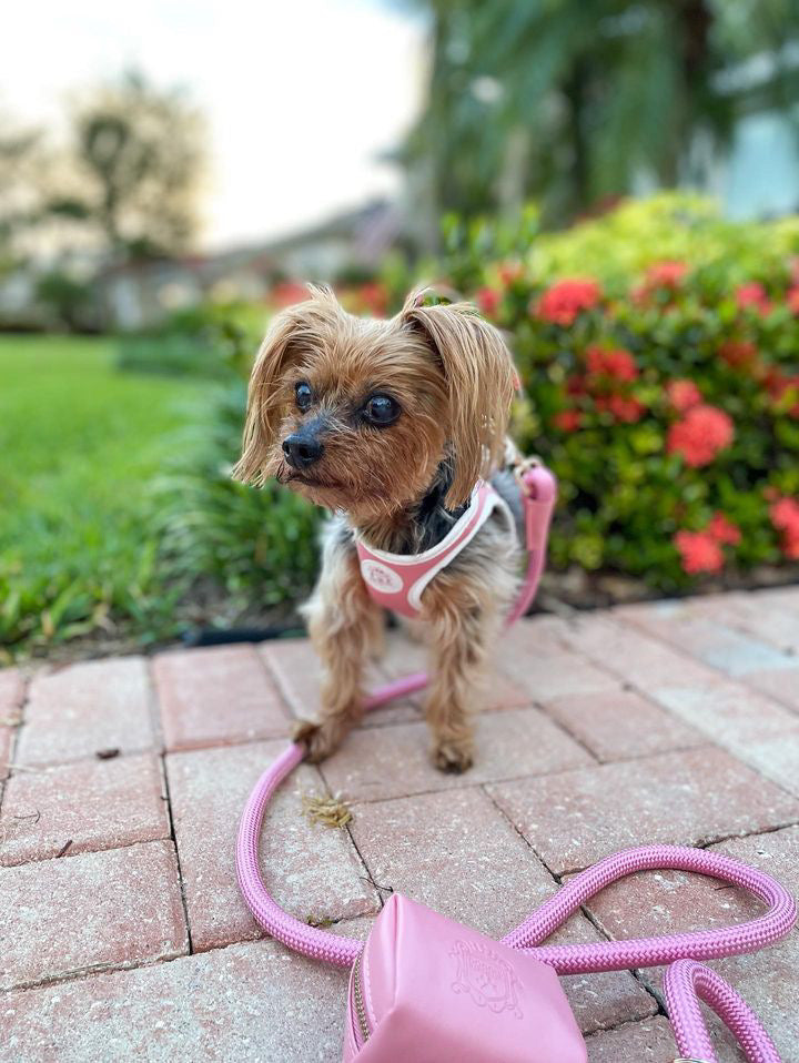 The Classic Harness - Malibu