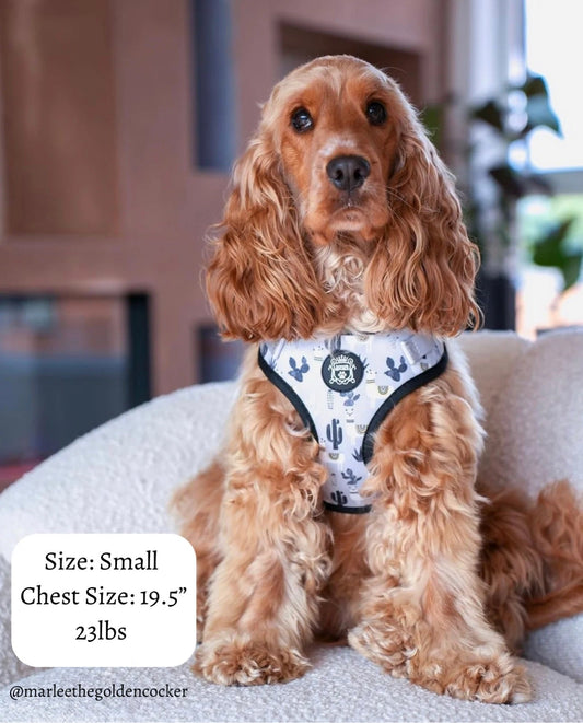 Doggie Sport Harness - No Probllama