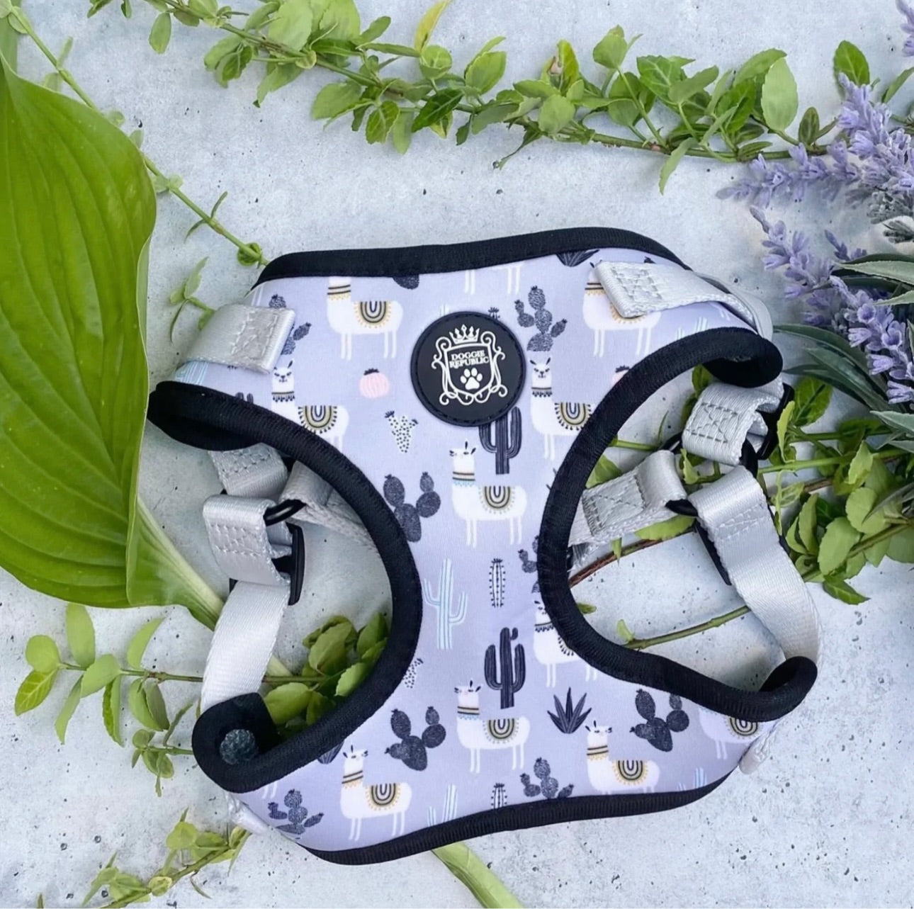Doggie Sport Harness - No Probllama