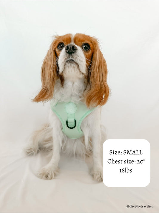 Doggie Sport Harness - Mint To Be