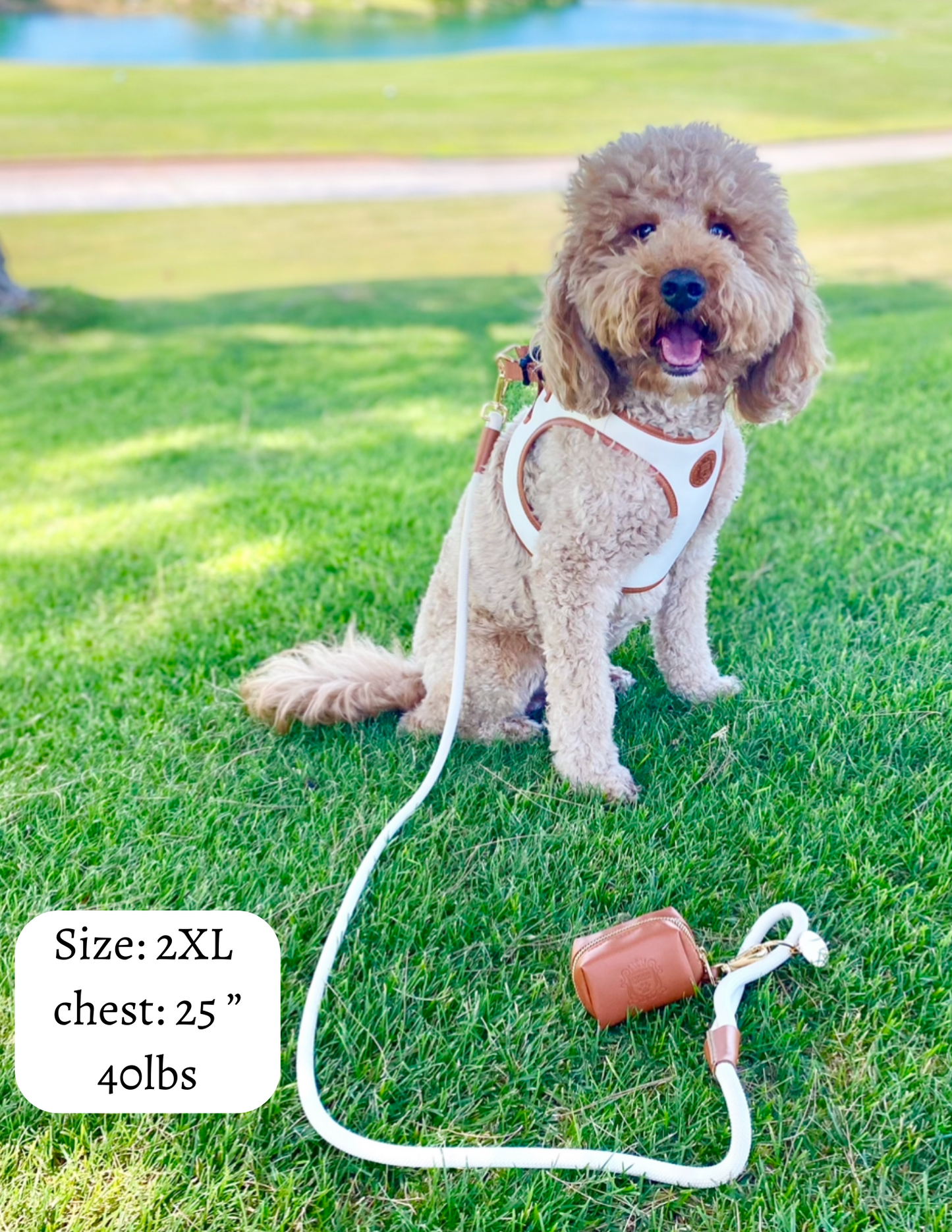 The Classic Harness - Coconut