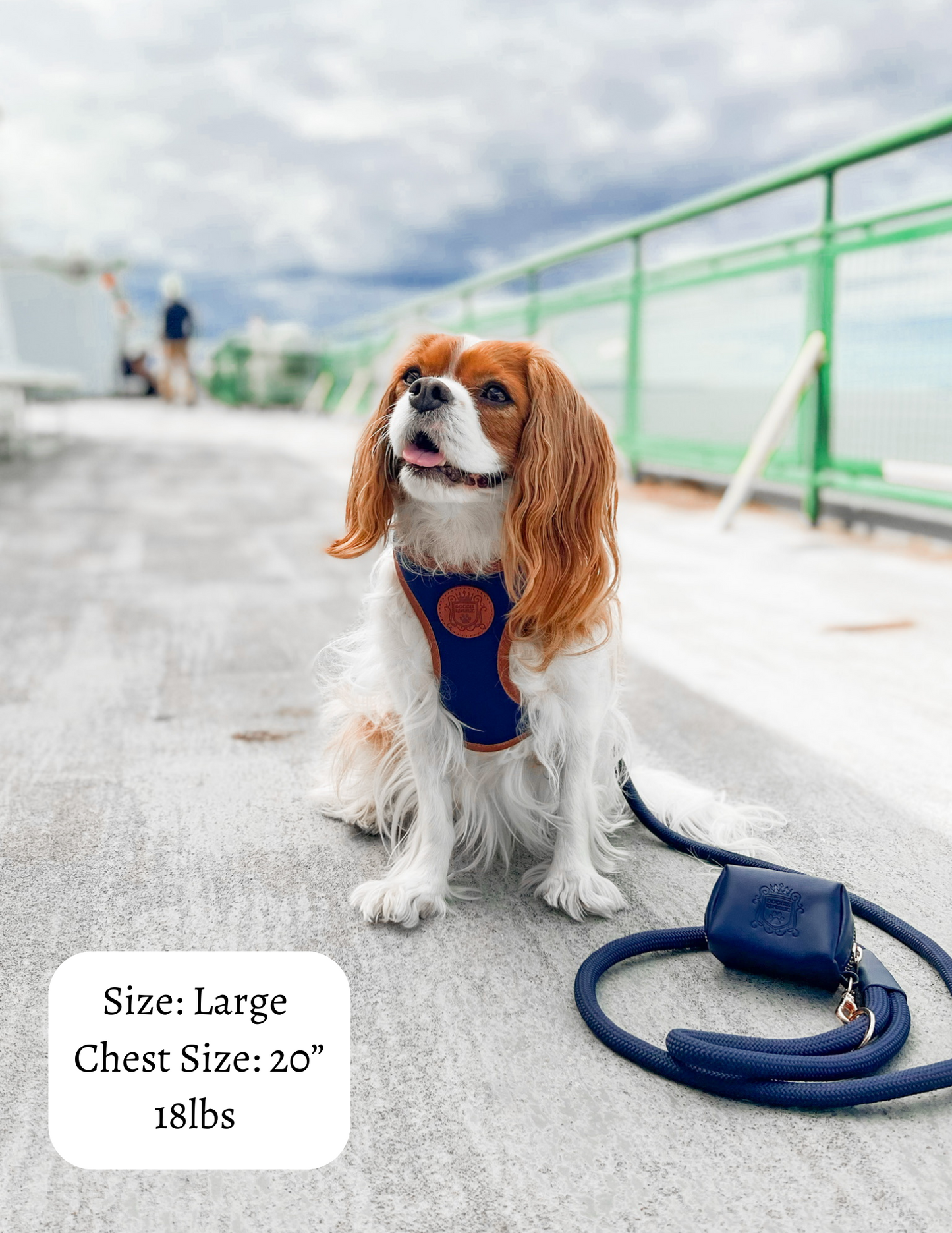 The Classic Harness - Sapphire