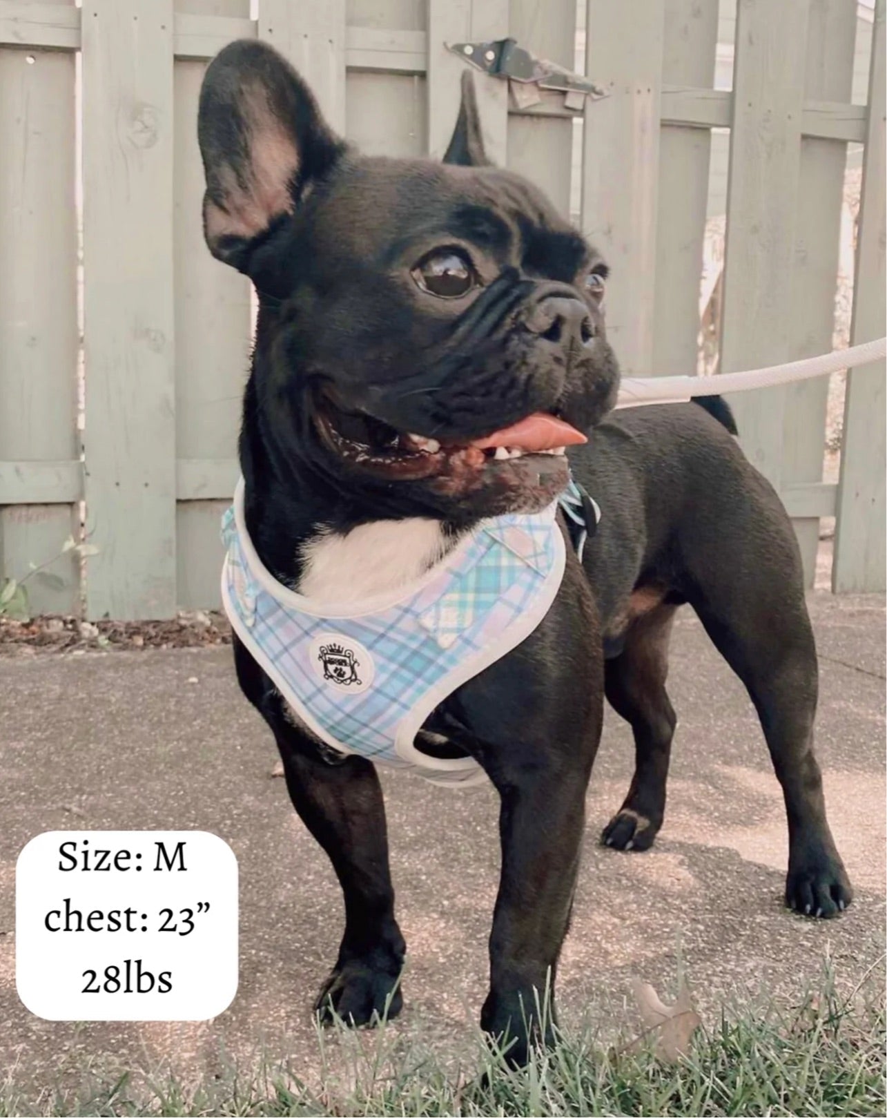 Doggie Sport Harness - Nantucket