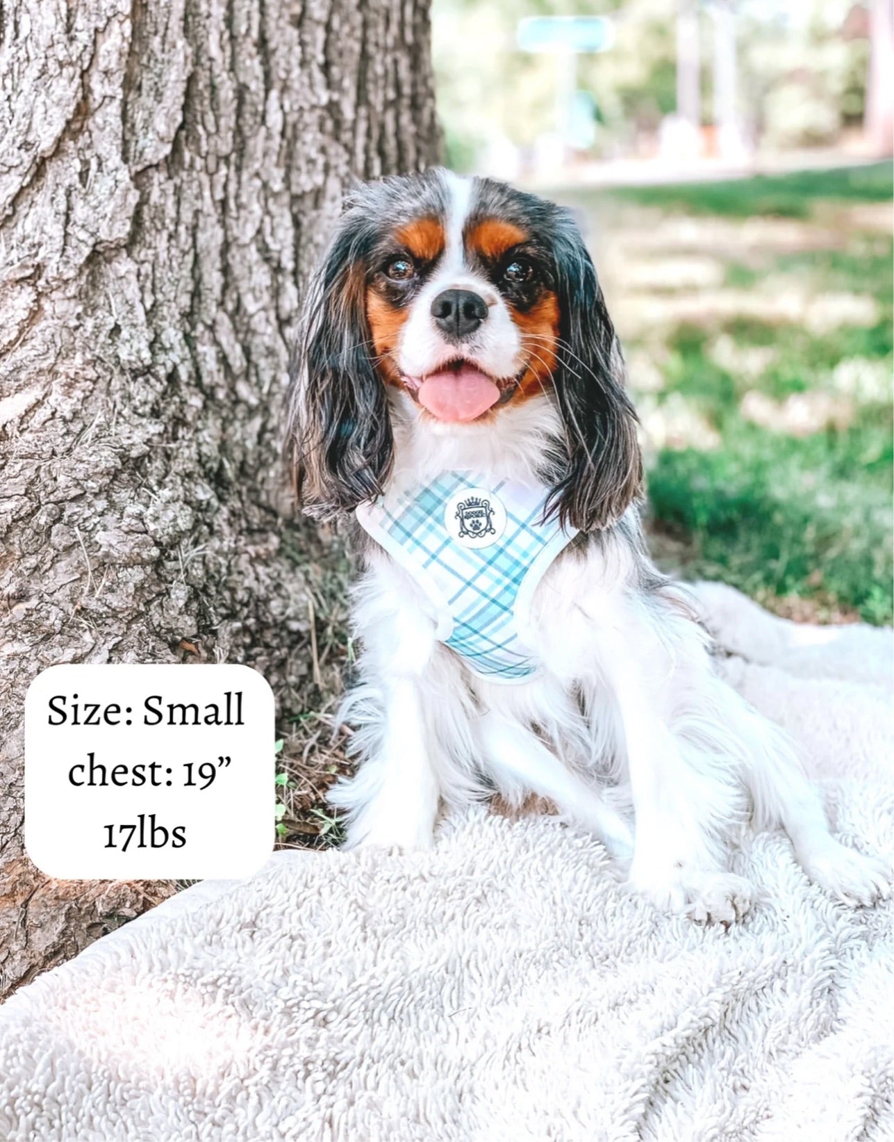 Doggie Sport Harness - Nantucket