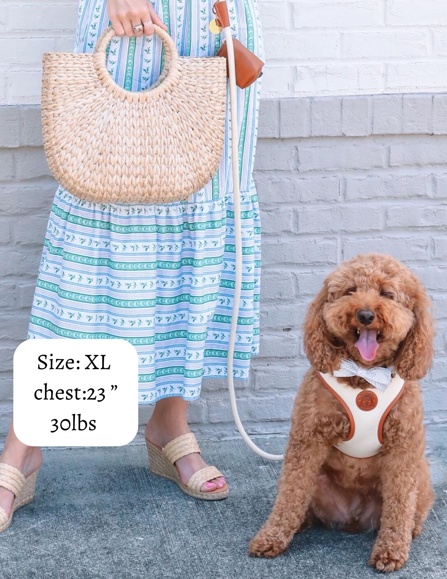The Classic Harness - Coconut