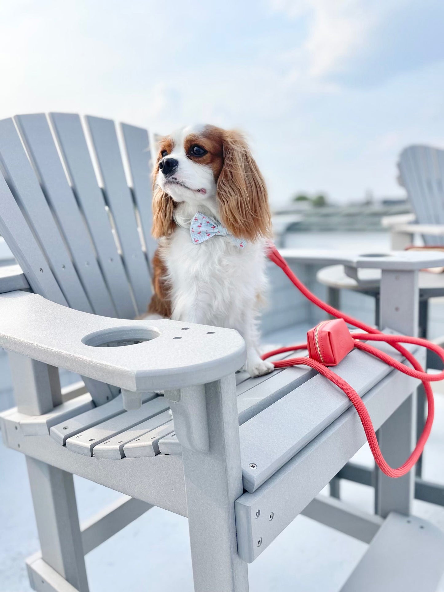 The Classic Leash - Coral
