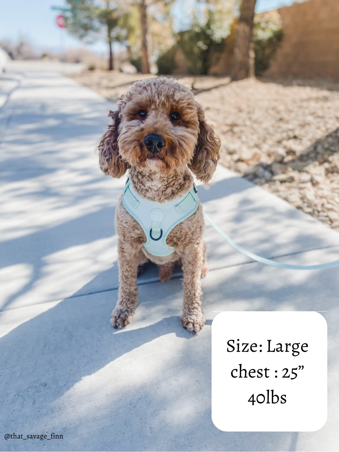 Doggie Sport Harness - Mint To Be
