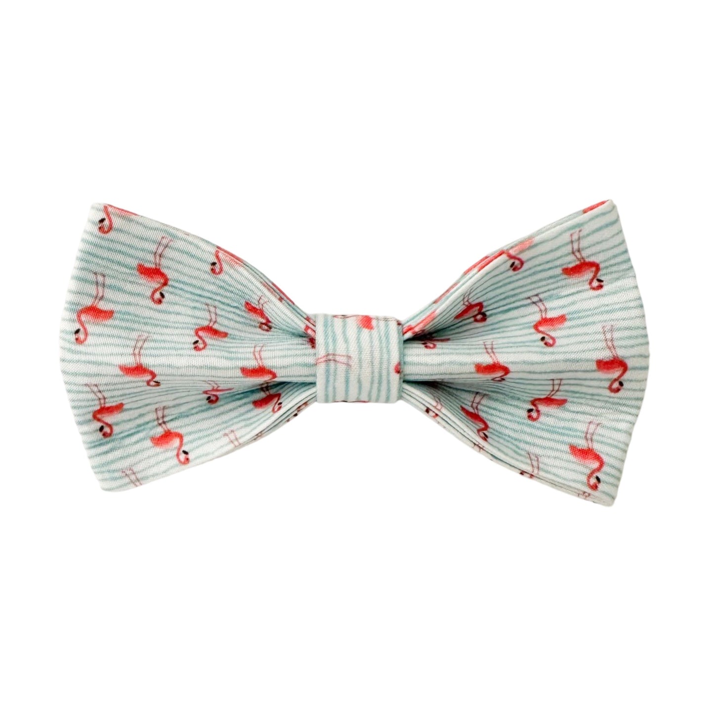 The Doggie Bow Tie - Aruba