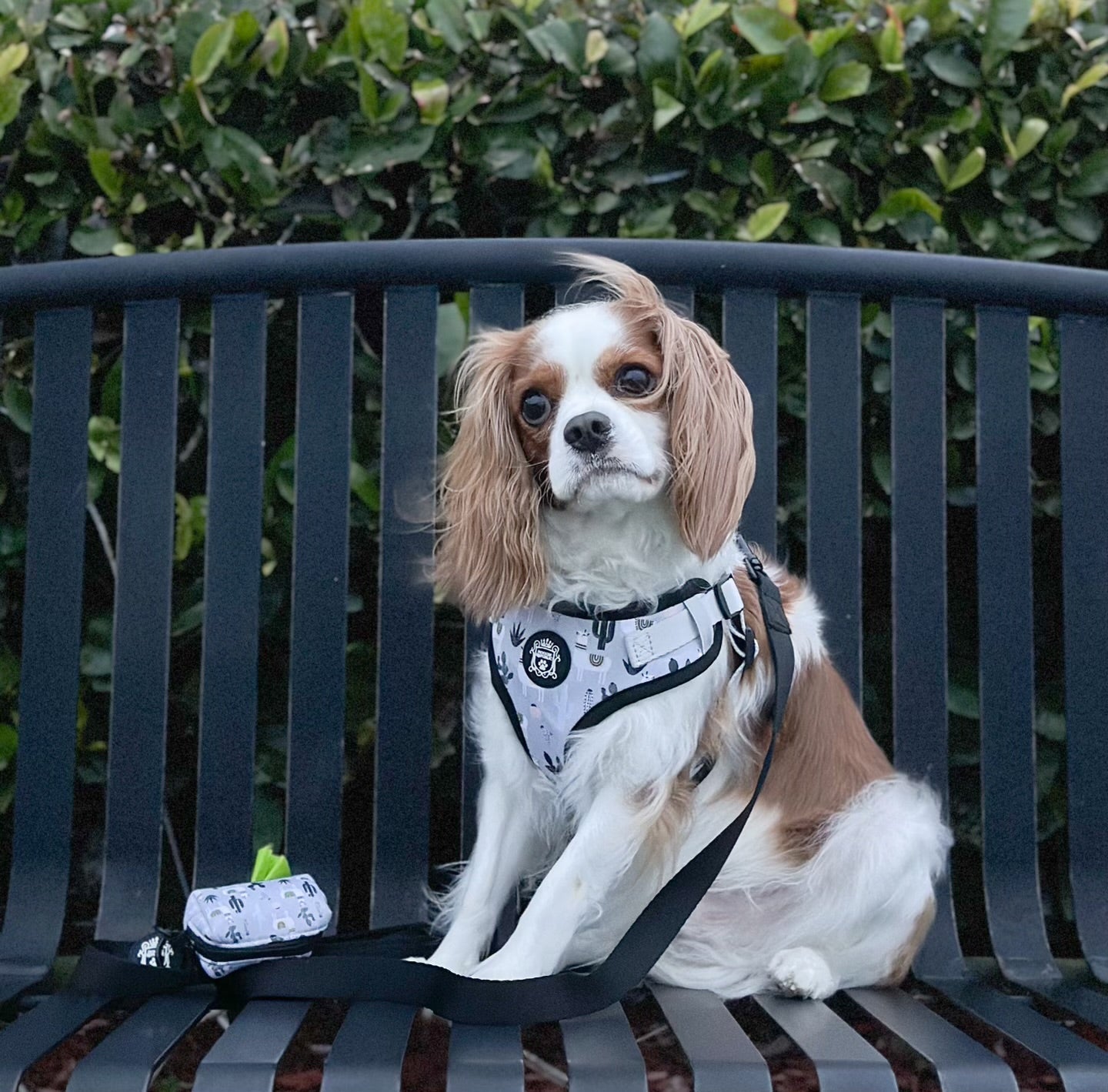 Doggie Sport Waste Bag Holder - No Probllama