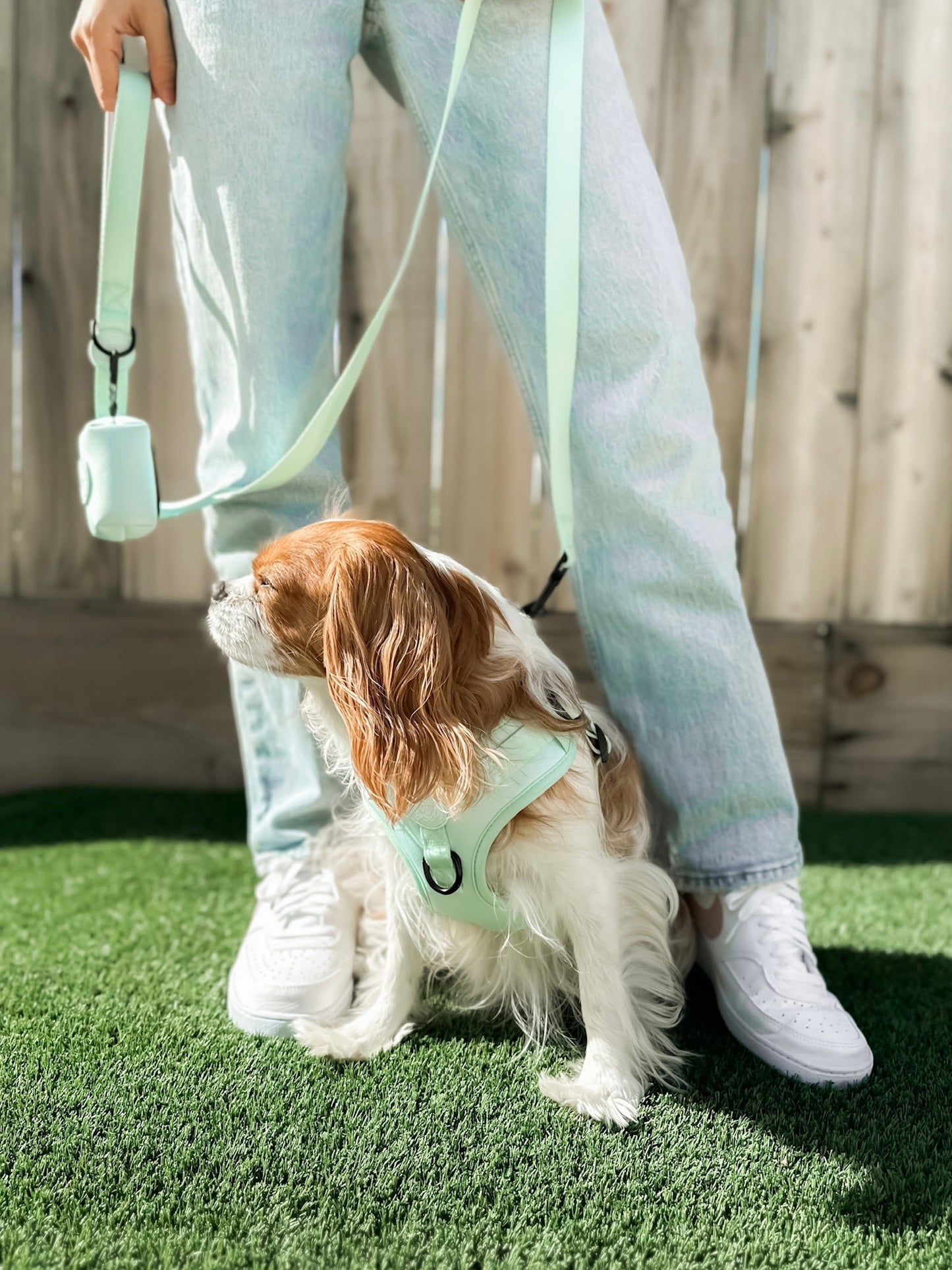 Doggie Sport Waste Bag Holder - Mint to Be