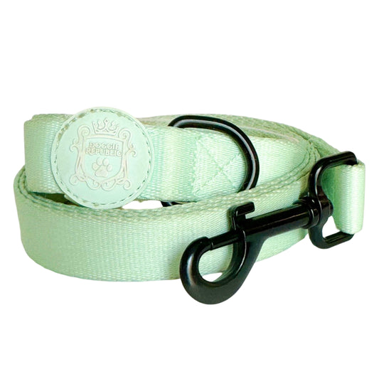Doggie Sport Leash - Mint