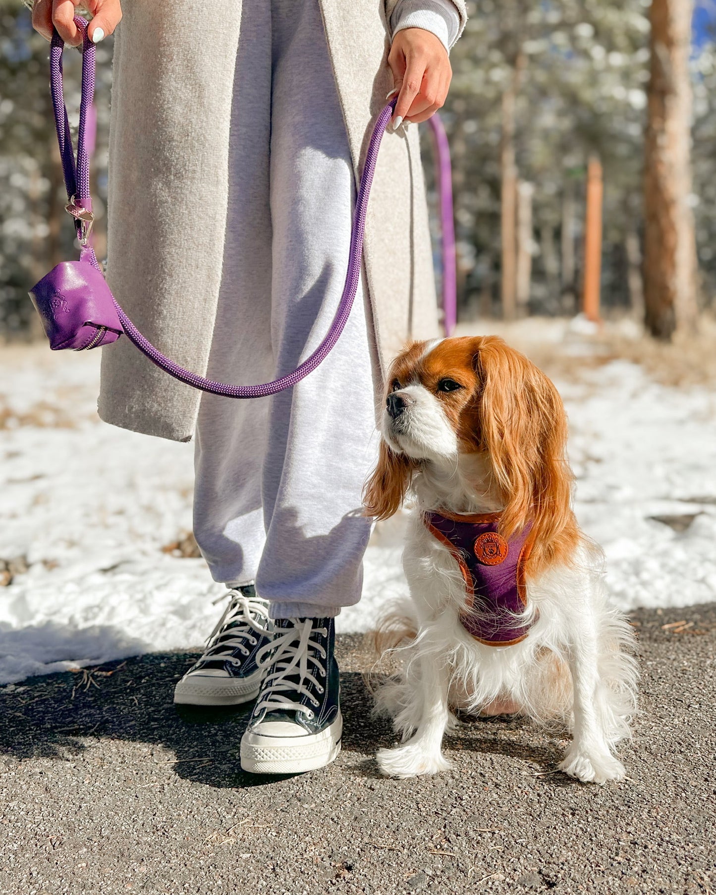 The Classic Leash - Eggplant