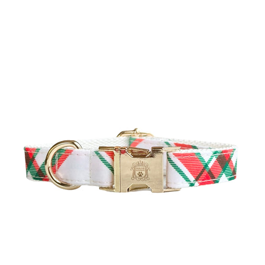 The Doggie Collar - Roma