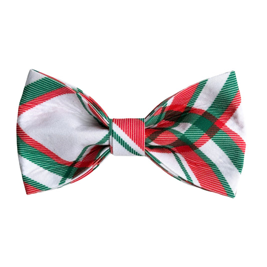 The Doggie Bow Tie - Roma