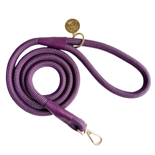 The Classic Leash - Eggplant