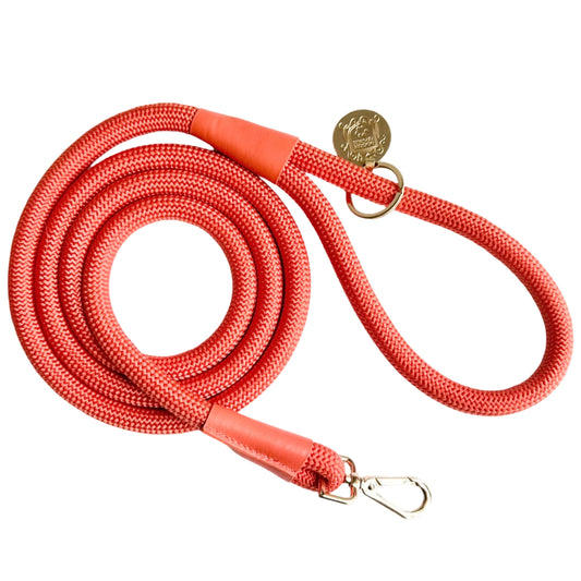 The Classic Leash - Coral