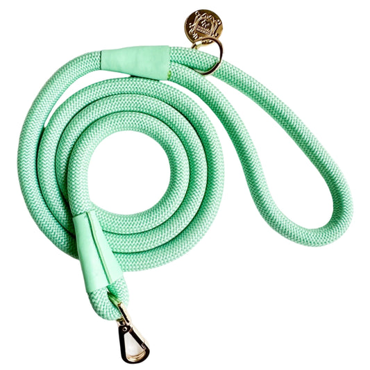 The Classic Leash - Aqua Mint