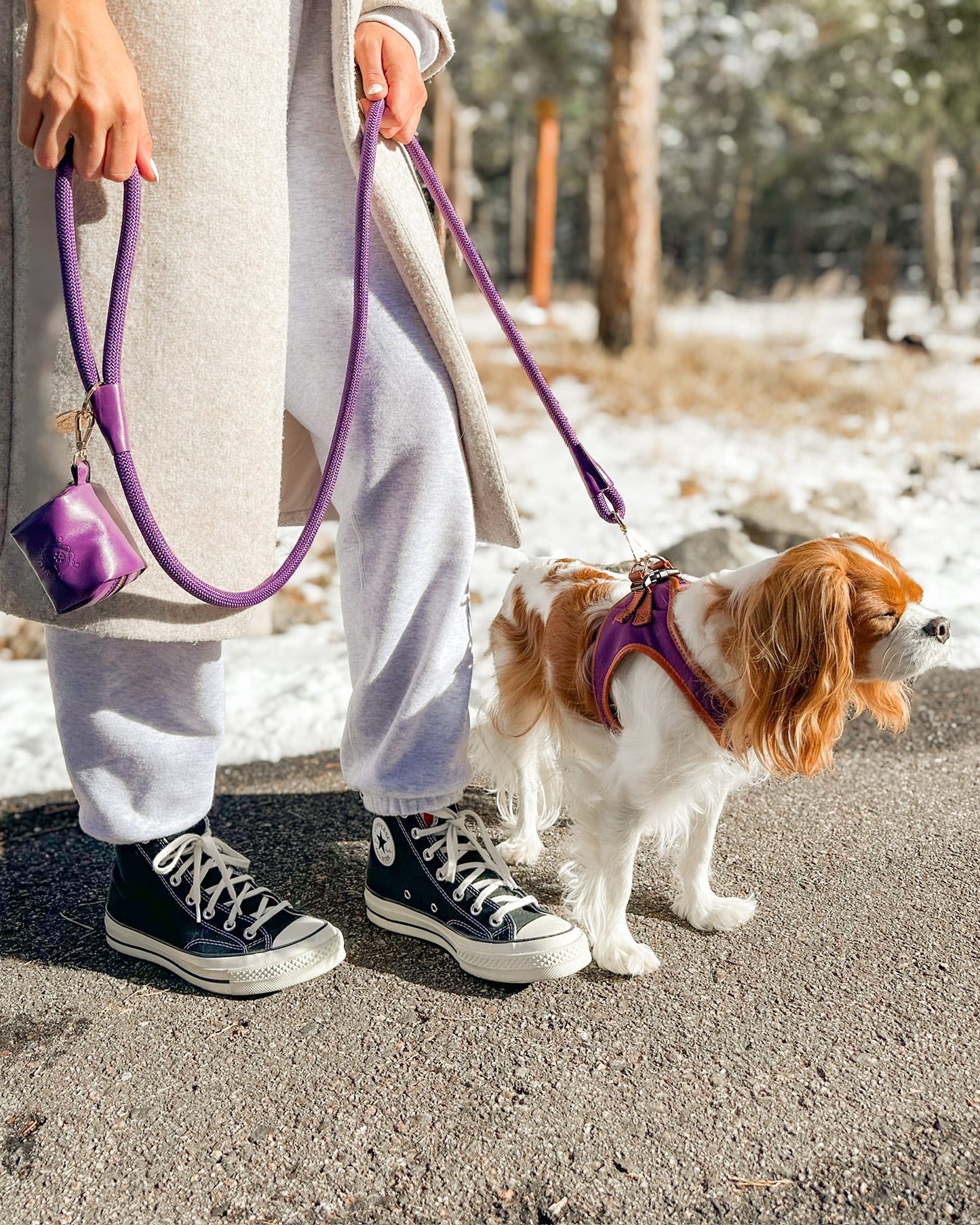 The Classic Leash - Eggplant