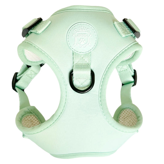 Doggie Sport Harness - Mint To Be