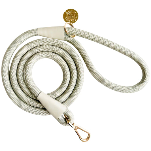 The Classic Leash - Chrome (Gold Hardware)